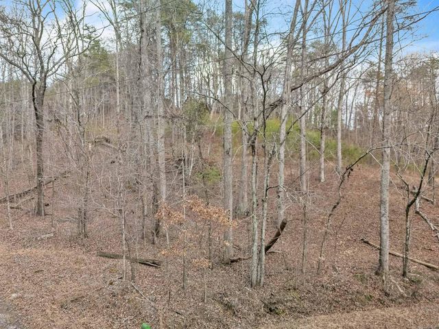 190 Firetower Road, Mc Donald, TN 37353