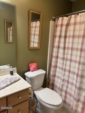 323 PAINE LAKE DRIVE, Sevierville, TN 37862