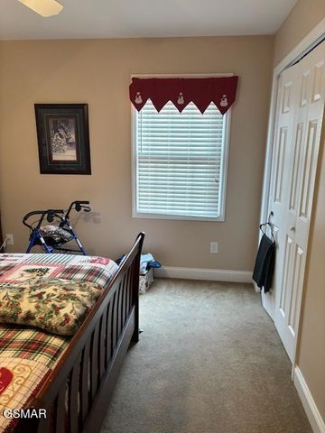 323 PAINE LAKE DRIVE, Sevierville, TN 37862