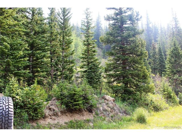 1 Miners Rd, Idaho Springs, CO 80461