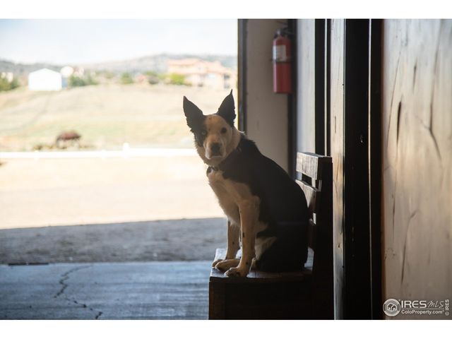 871 N County Road 23e, Berthoud, CO 80513