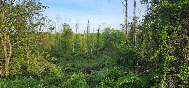 X Old Mountain Road, Otisville, NY 10963