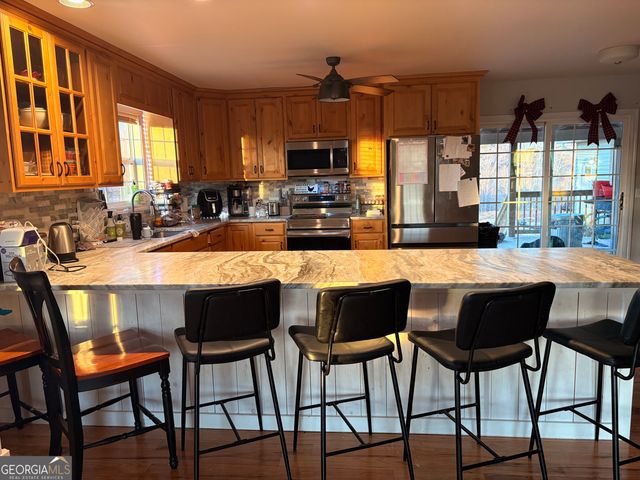 2007 N Akins Bridge Road, Eastanollee, GA 30538