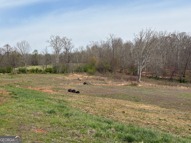 2007 N Akins Bridge Road, Eastanollee, GA 30538