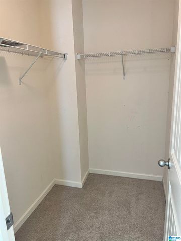 115 BLUEBERRY COVE, Springville, AL 35146