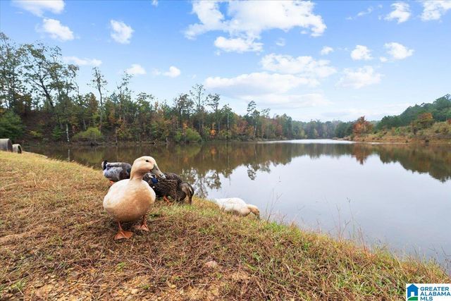 115 BLUEBERRY COVE, Springville, AL 35146