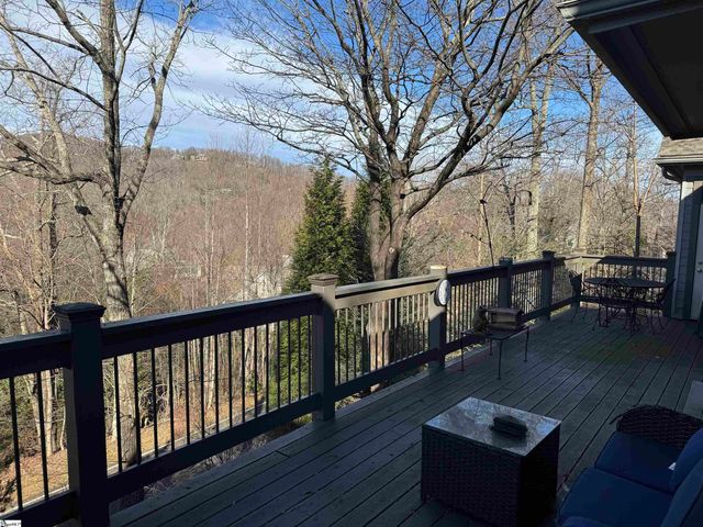 3 Rustic Court, Landrum, SC 29356