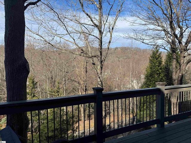 3 Rustic Court, Landrum, SC 29356