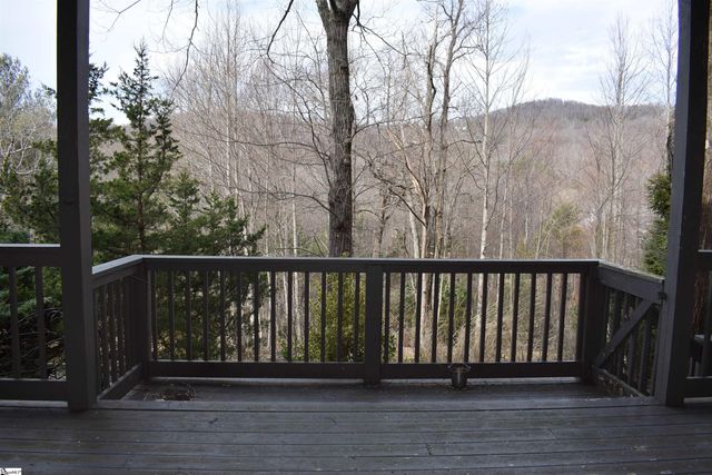 3 Rustic Court, Landrum, SC 29356