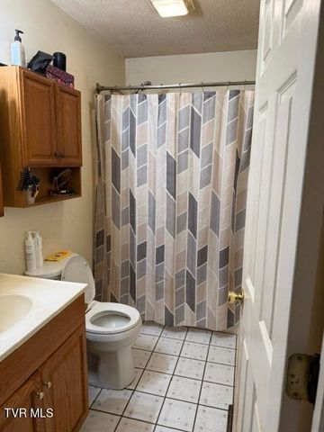 16109 Rich Valley Road, Abingdon, VA 24210