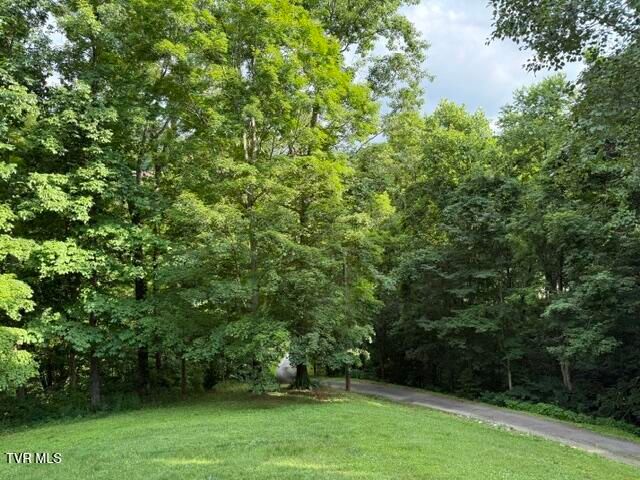 16109 Rich Valley Road, Abingdon, VA 24210