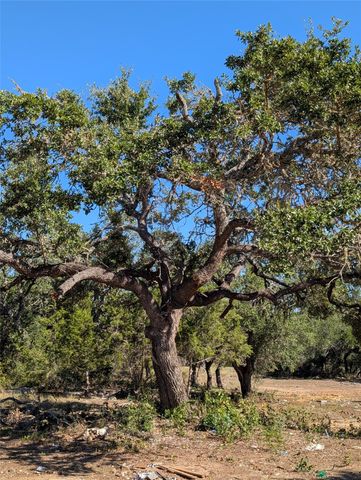 170 Brownson LN, Driftwood, TX 78619