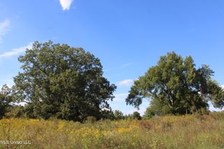 5300 Desoto Road, Walls, MS 38680