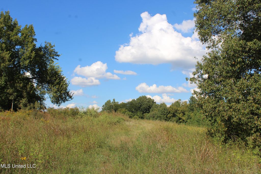 5300 Desoto Road, Walls, MS 38680 — photo 2