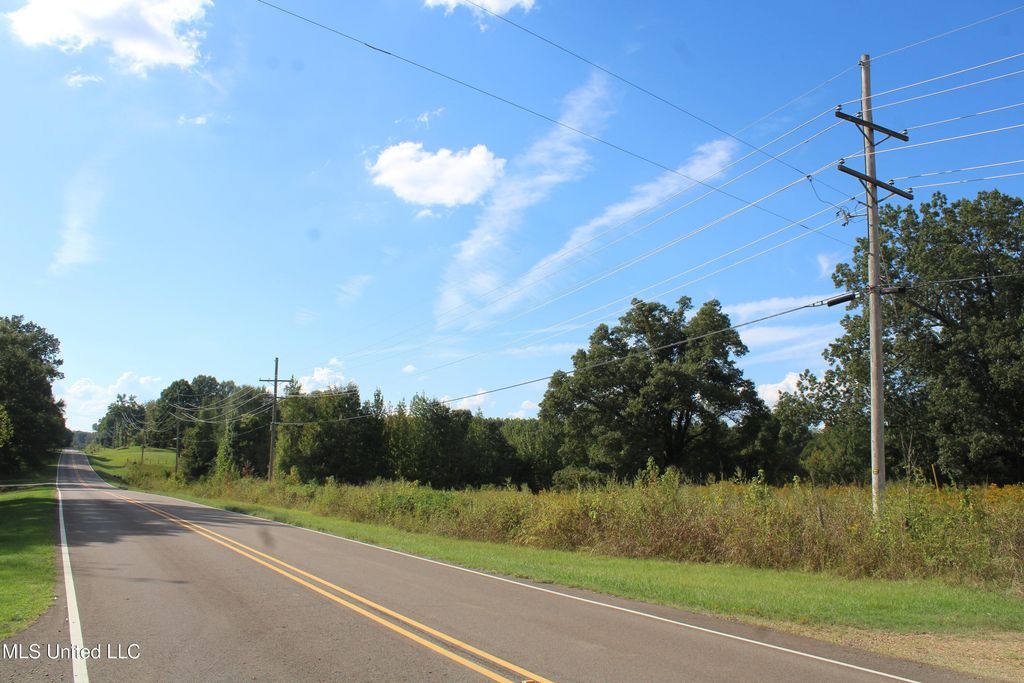 5300 Desoto Road, Walls, MS 38680 — photo 4