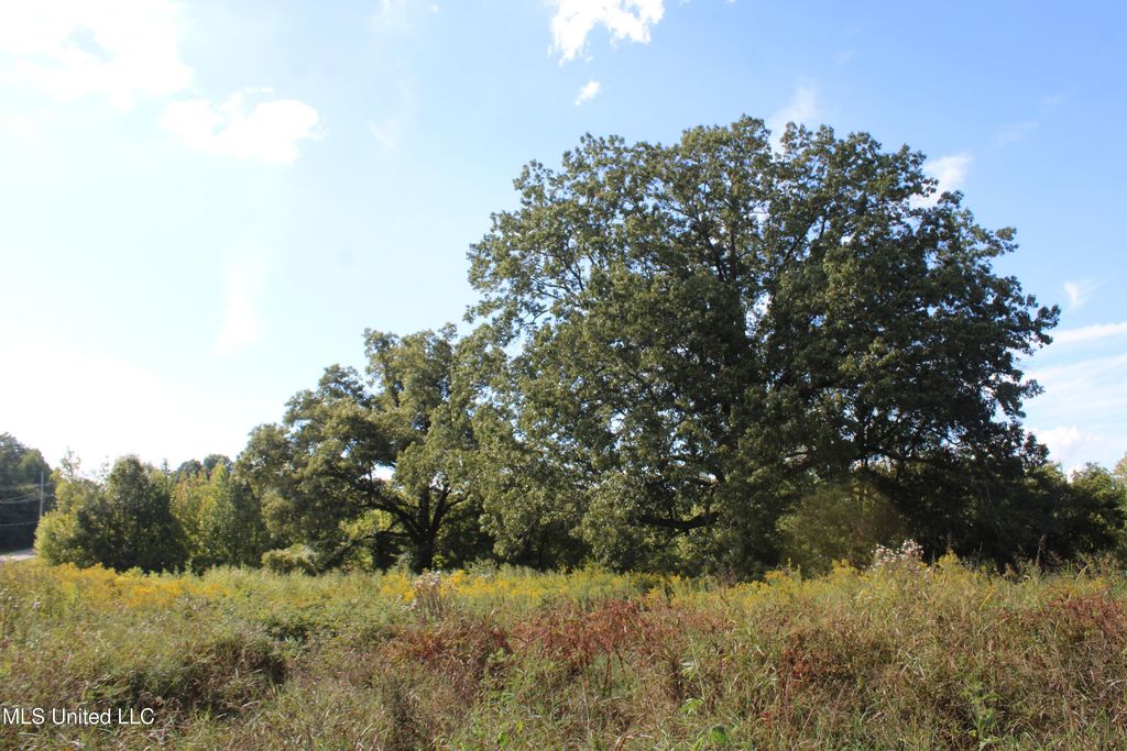 5300 Desoto Road, Walls, MS 38680 — photo 5