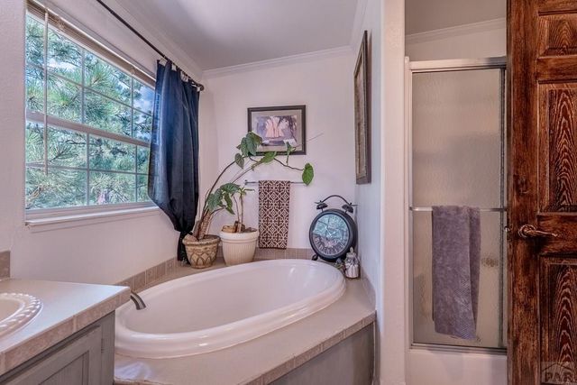 14600 County Rd 30.1, Weston, CO 81091