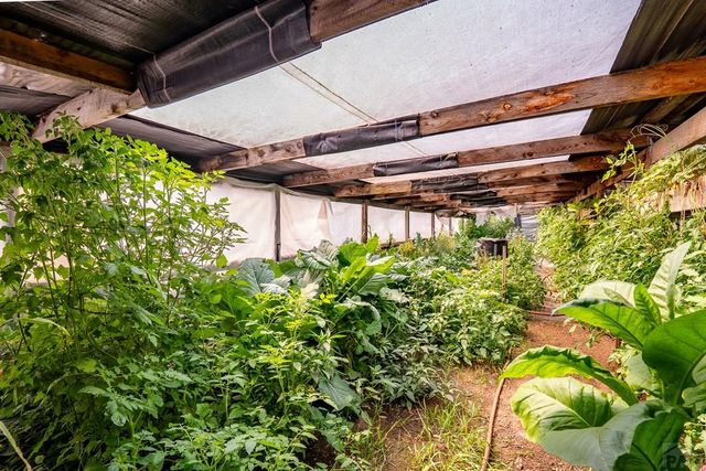 14600 County Rd 30.1, Weston, CO 81091