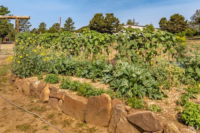 14600 County Rd 30.1, Weston, CO 81091