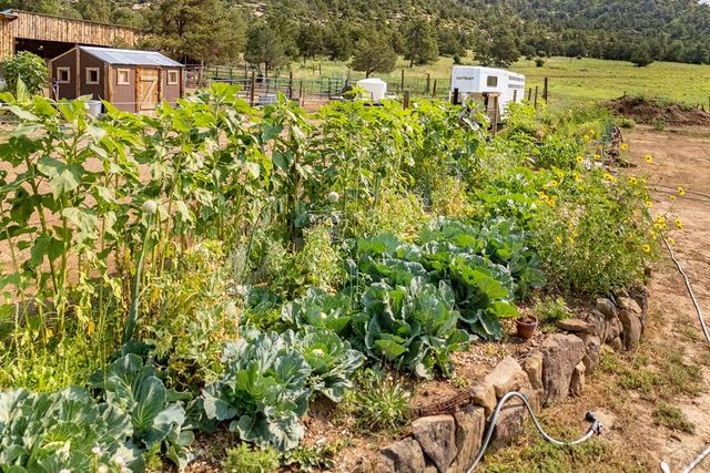 14600 County Rd 30.1, Weston, CO 81091