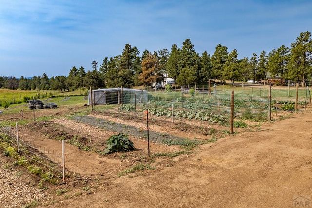 14600 County Rd 30.1, Weston, CO 81091