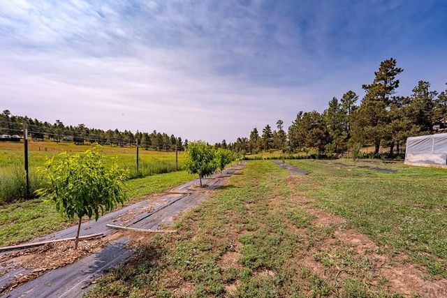 14600 County Rd 30.1, Weston, CO 81091