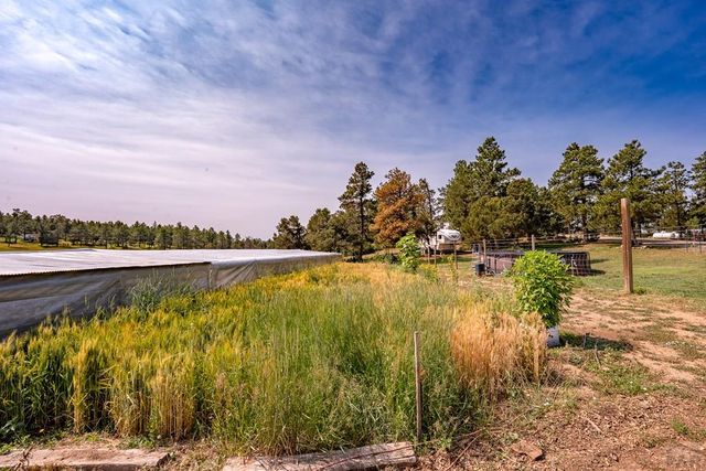 14600 County Rd 30.1, Weston, CO 81091