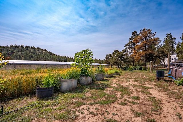 14600 County Rd 30.1, Weston, CO 81091