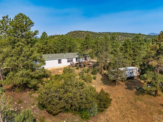 14600 County Rd 30.1, Weston, CO 81091