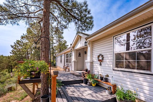 14600 County Rd 30.1, Weston, CO 81091