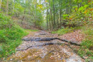 0 Ross Hollow Rd, Ashland City, TN 37015
