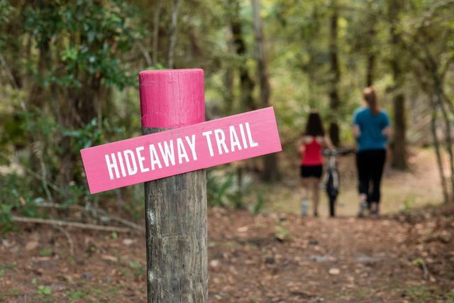 299 Sierra Stream Lane, Conroe, TX 77304