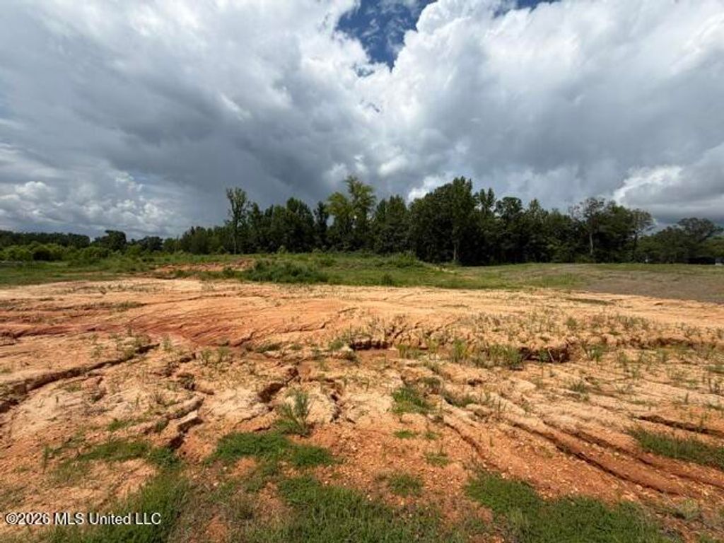 14 Taylor Nicole Road, Byhalia, MS 38611 — photo 2