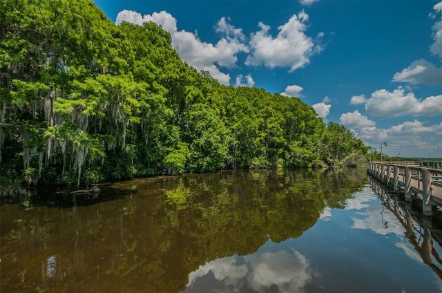 4604 AYRON TERRACE, Palm Harbor, FL 34685