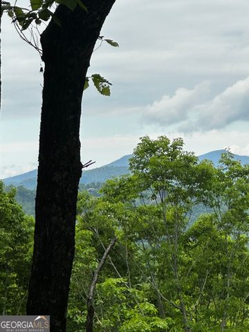 0 Rainwater Trail LOTS 6 & 7, Tiger, GA 30576