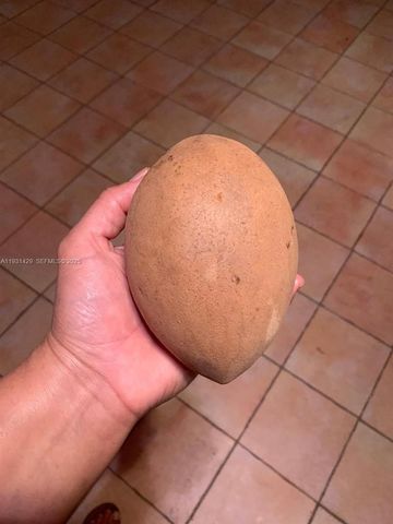 10955 SW 56th St, Miami, FL 33165