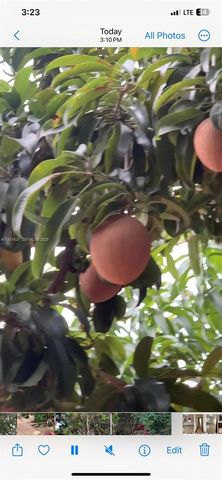 10955 SW 56th St, Miami, FL 33165