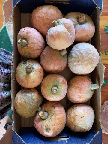 10955 SW 56th St, Miami, FL 33165