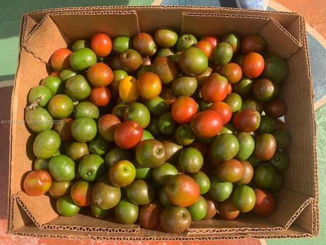 10955 SW 56th St, Miami, FL 33165