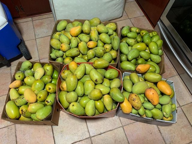 10955 SW 56th St, Miami, FL 33165