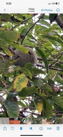 10955 SW 56th St, Miami, FL 33165