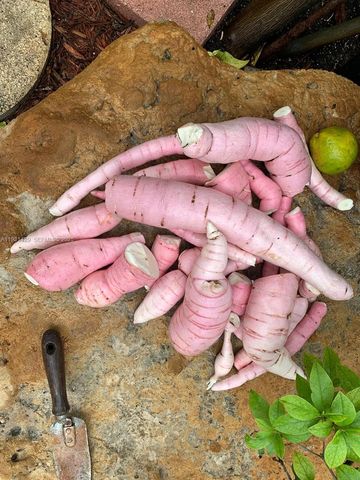 10955 SW 56th St, Miami, FL 33165