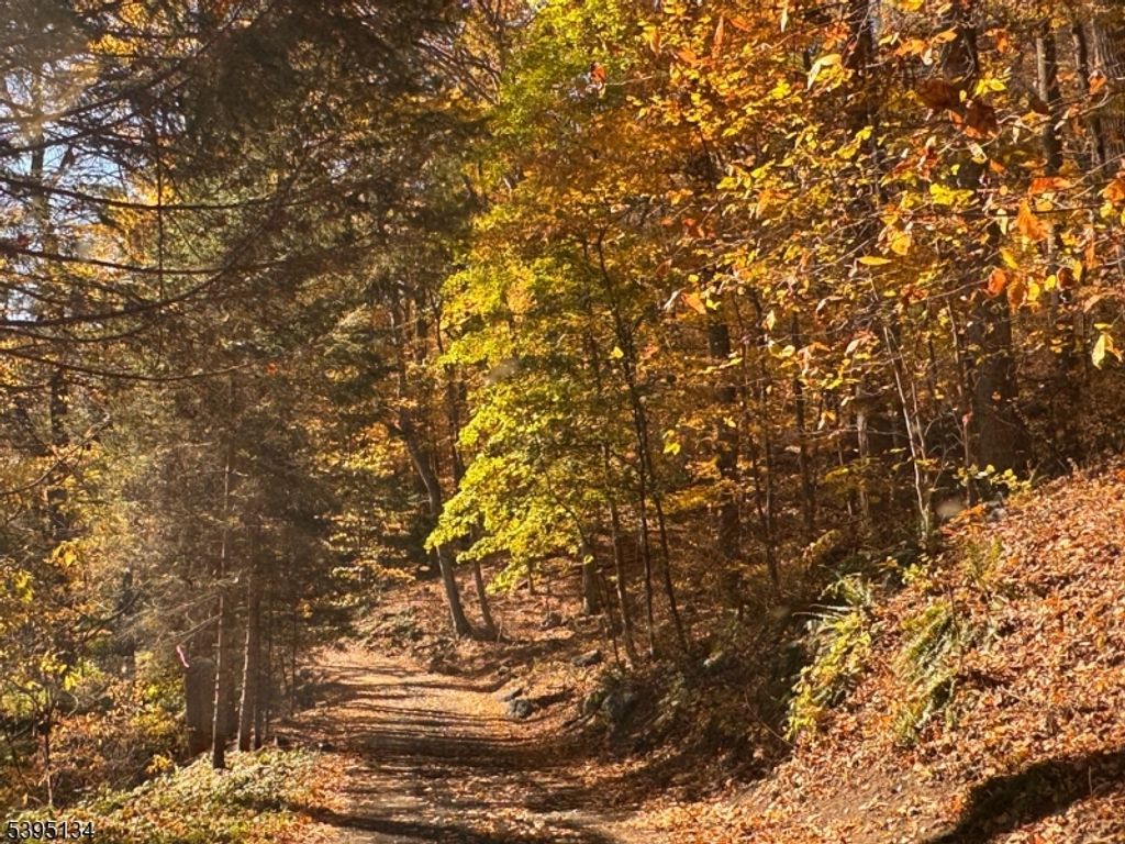 3 Rock N Wood, White Twp., NJ 07823