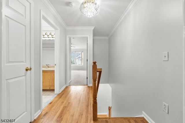 33 E Burgess Dr, Piscataway Twp., NJ 08854