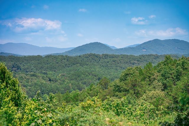 88 Down Yonder Road, Morganton, GA 30560