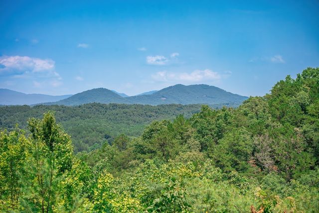 88 Down Yonder Road, Morganton, GA 30560