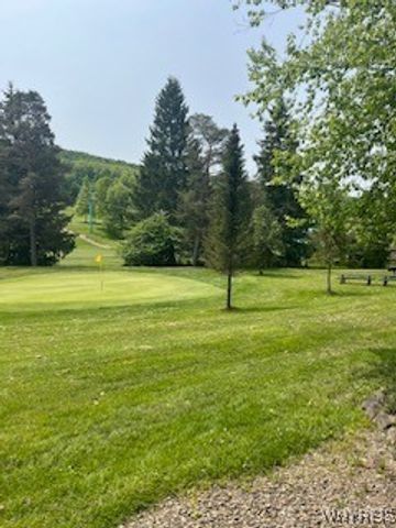 6447 Holiday Valley Road 121123-5, Ellicottville, NY 14731