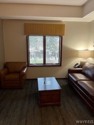 6447 Holiday Valley Road 121123-5, Ellicottville, NY 14731