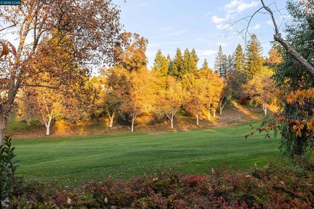 332 Red Maple Drive, Danville, CA 94506