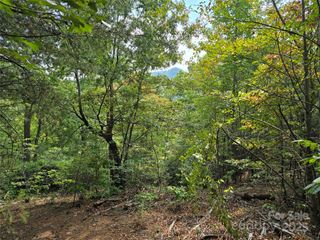 374 Garden Lane, Lake Lure, NC 28746